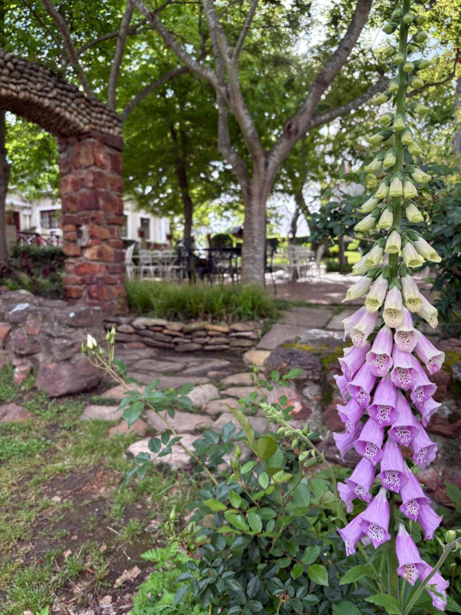 Eight Bells Mountain Inn Ruiterbos Exterior photo